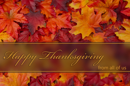 48801203 - happy thanksgiving greeting, fall leaves background and text happy thanksgiving from all of us